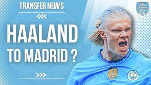 公牛的表现 公牛的表现