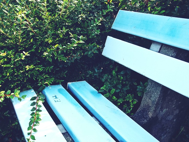 望通过这名 望通过这名