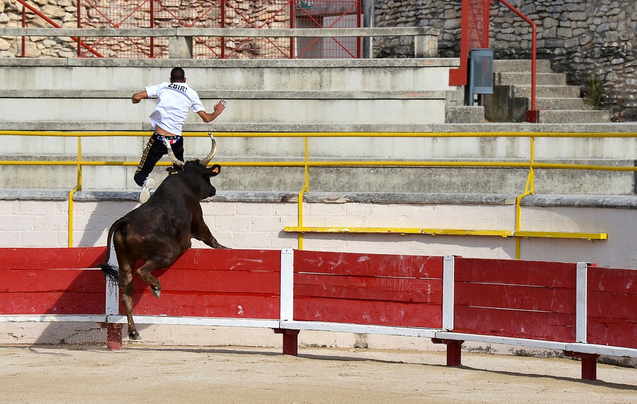 时观赛体验 时观赛体验